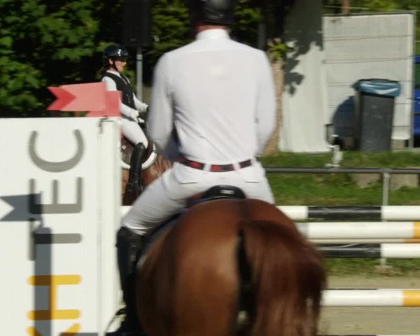 Reitturnier Oberderdingen 2023