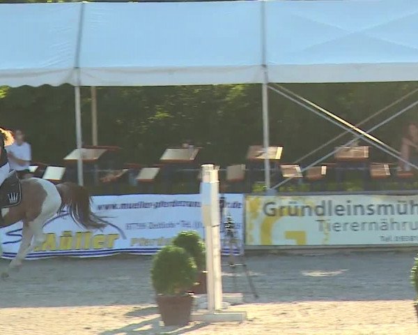 Reitturnier Grafenrheinfeld 2023