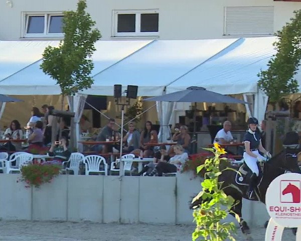 Reitturnier Grafenrheinfeld 2023