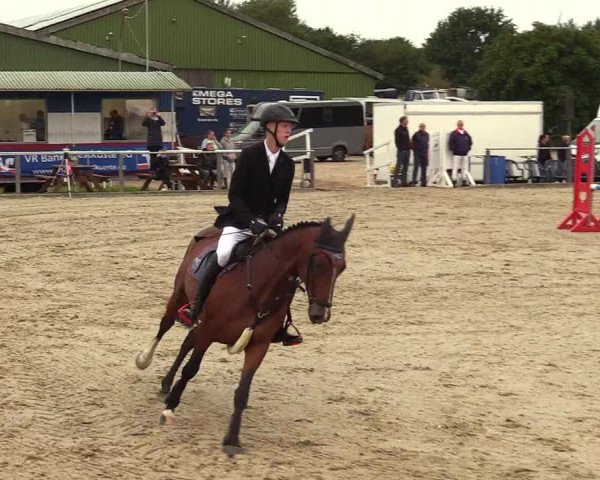 Reitturnier Behrendorf 2023