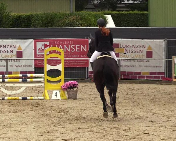 Reitturnier Behrendorf 2023