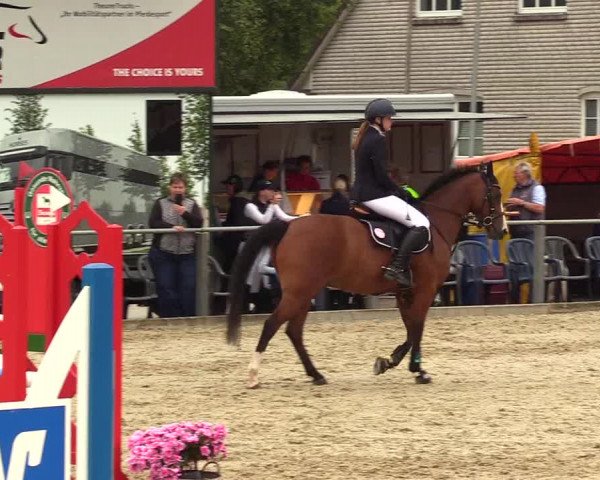 Reitturnier Behrendorf 2023