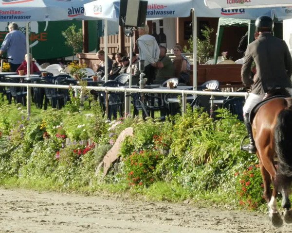 Reitturnier Oberderdingen 2023