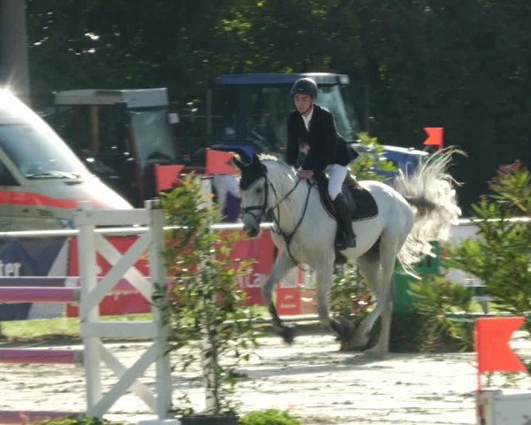 Reitturnier Oberderdingen 2023