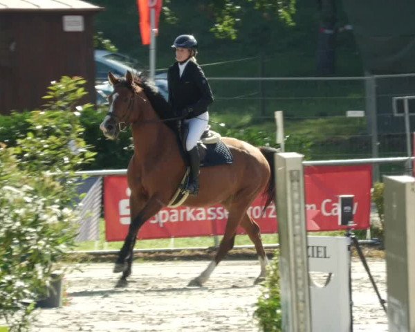 Reitturnier Oberderdingen 2023