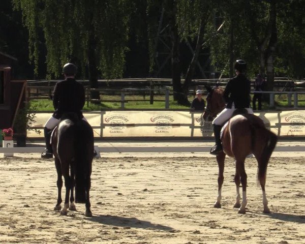Reitturnier Vellinghausen 2023