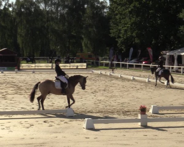 Reitturnier Vellinghausen 2023