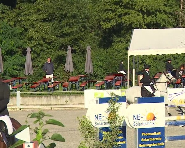 Reitturnier Grafenrheinfeld 2023