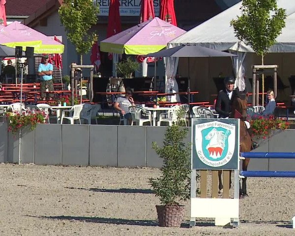 Reitturnier Grafenrheinfeld 2023