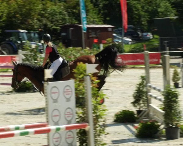 Reitturnier Oberderdingen 2023