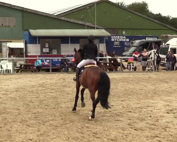 Reitturnier Behrendorf 2023