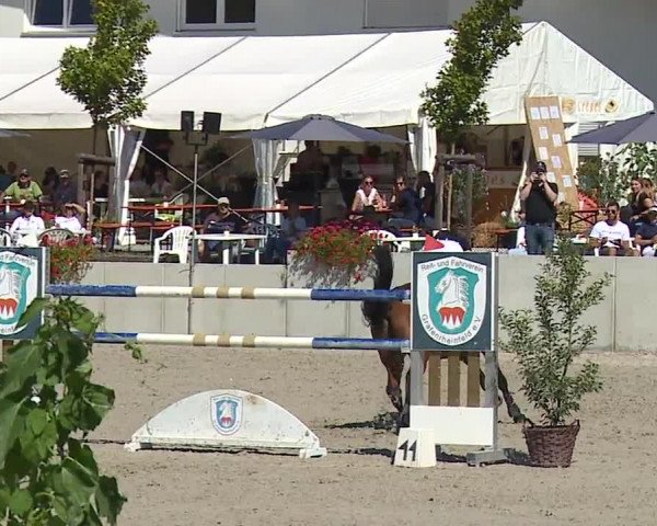 Reitturnier Grafenrheinfeld 2023