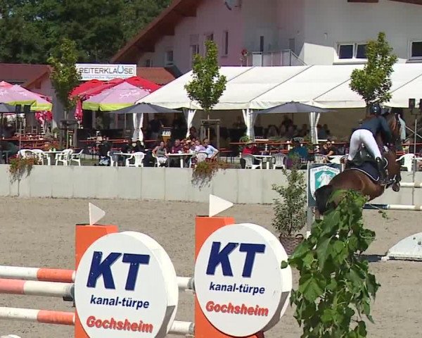 Reitturnier Grafenrheinfeld 2023