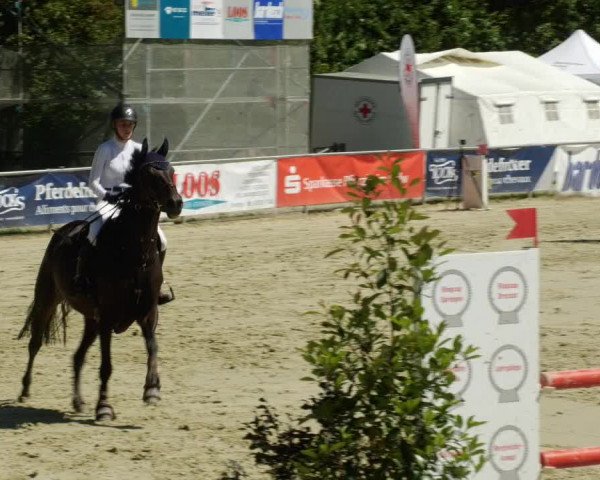 Reitturnier Oberderdingen 2023