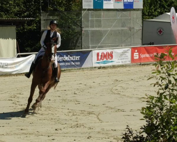 Reitturnier Oberderdingen 2023