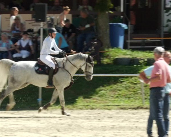 Reitturnier Oberderdingen 2023