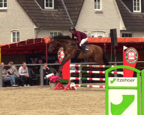 Reitturnier Behrendorf 2023