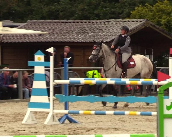 Reitturnier Behrendorf 2023