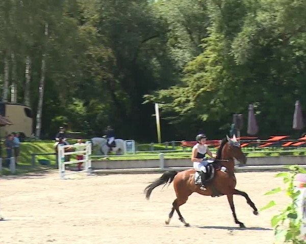 Reitturnier Grafenrheinfeld 2023