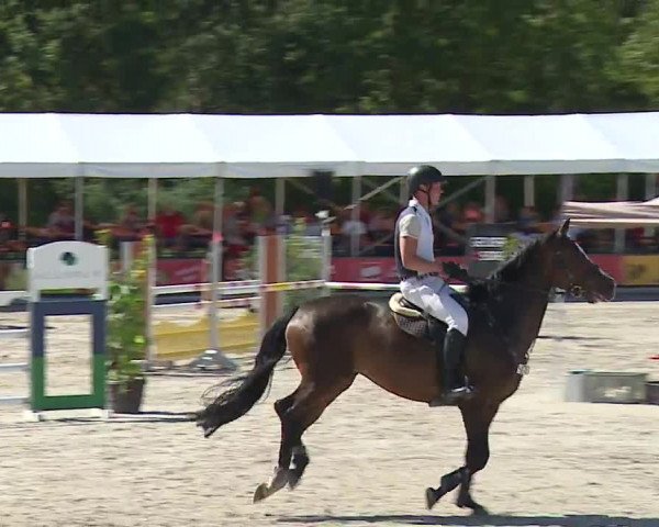 Reitturnier Grafenrheinfeld 2023