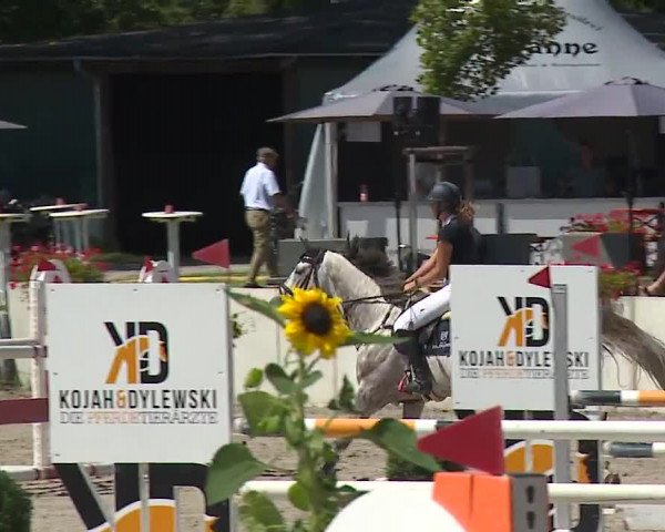 Reitturnier Grafenrheinfeld 2023