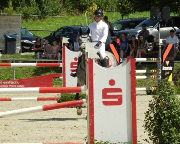 Reitturnier Oberderdingen 2023