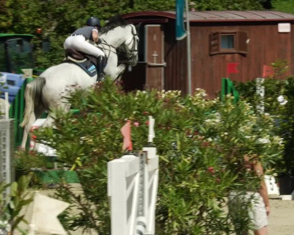 Reitturnier Oberderdingen 2023