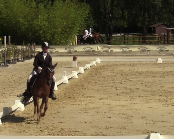 Reitturnier Vellinghausen 2023