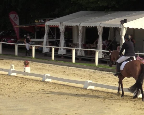 Reitturnier Vellinghausen 2023