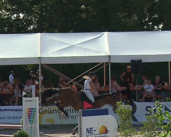 Reitturnier Grafenrheinfeld 2023