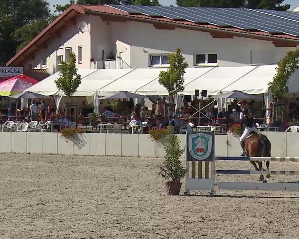Reitturnier Grafenrheinfeld 2023