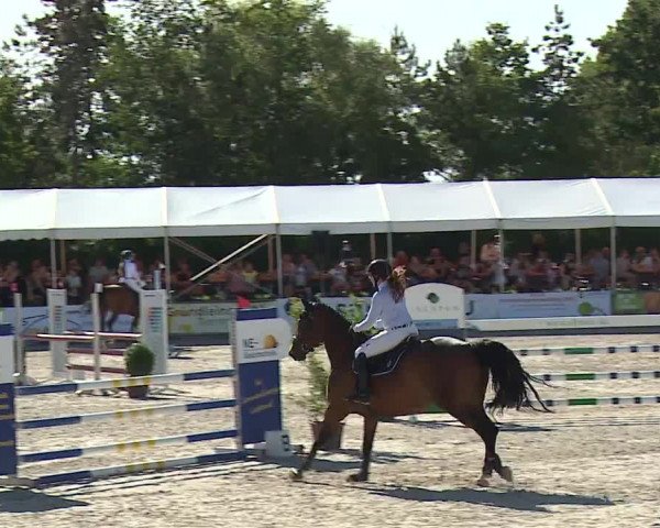 Reitturnier Grafenrheinfeld 2023