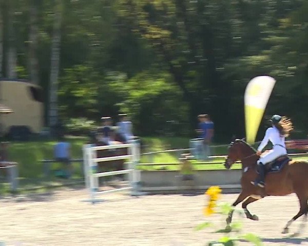 Reitturnier Grafenrheinfeld 2023