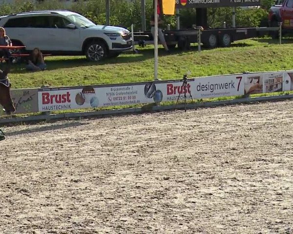Reitturnier Grafenrheinfeld 2023