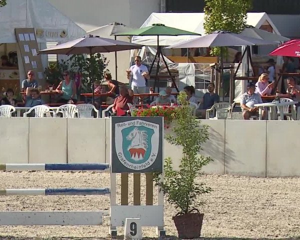 Reitturnier Grafenrheinfeld 2023