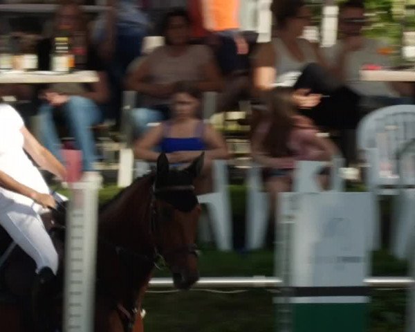 Reitturnier Oberderdingen 2023