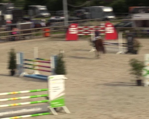 Reitturnier Münster-Amelsbüren 2023