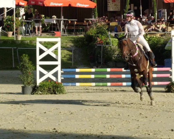 Reitturnier Oberderdingen 2023