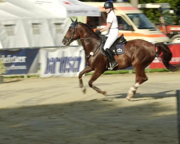 Reitturnier Oberderdingen 2023