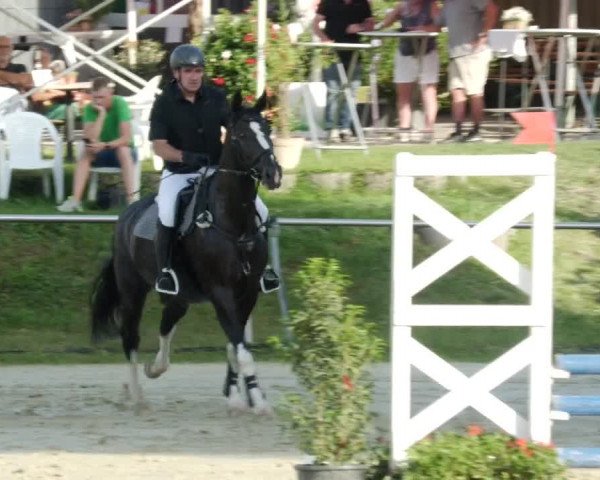 Reitturnier Oberderdingen 2023