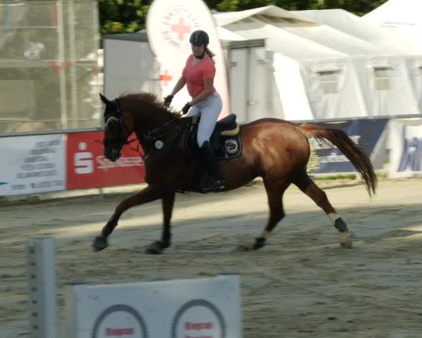 Reitturnier Oberderdingen 2023