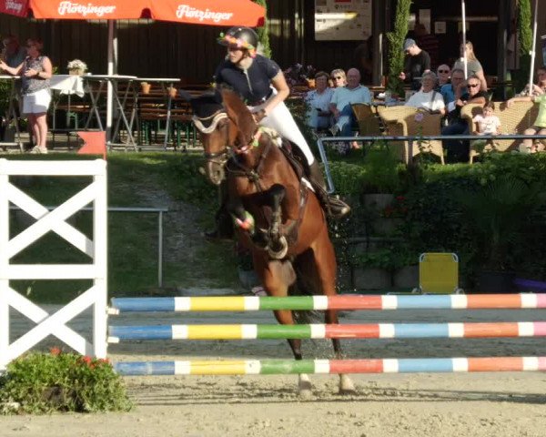Reitturnier Oberderdingen 2023