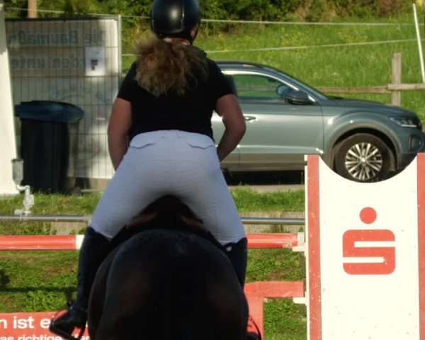 Reitturnier Oberderdingen 2023