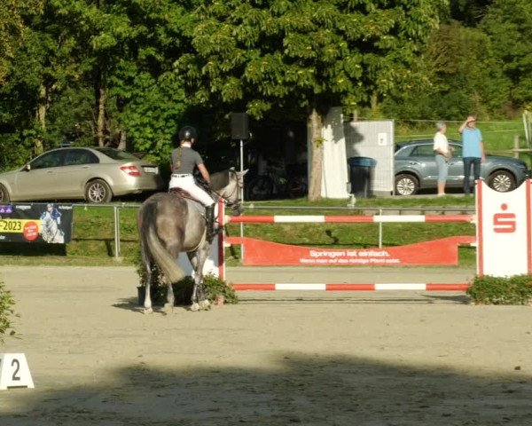 Reitturnier Oberderdingen 2023