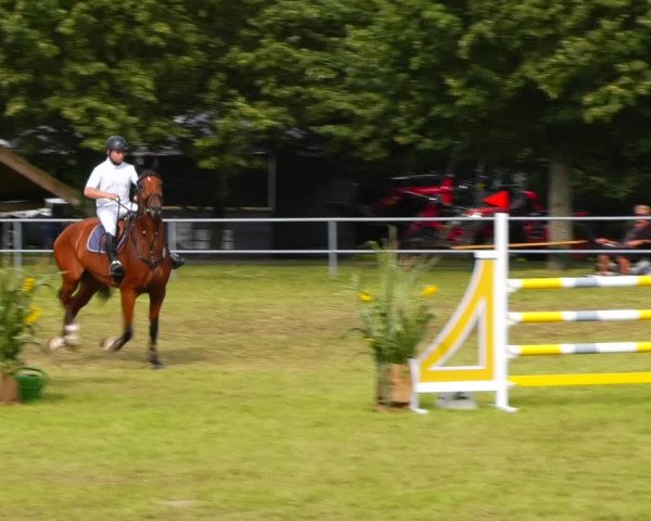 Reitturnier Woldegk 2023
