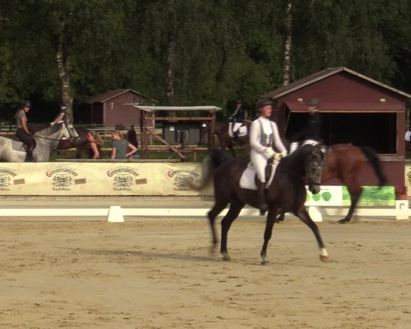 Reitturnier Vellinghausen 2023