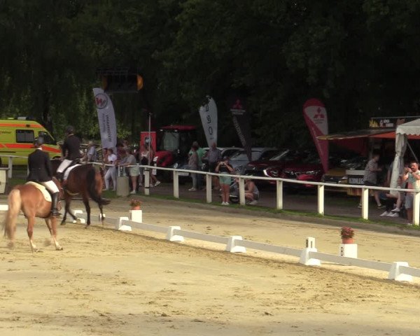 Reitturnier Vellinghausen 2023