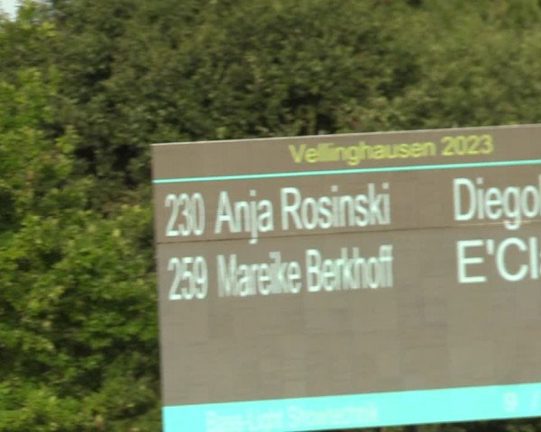 Reitturnier Vellinghausen 2023