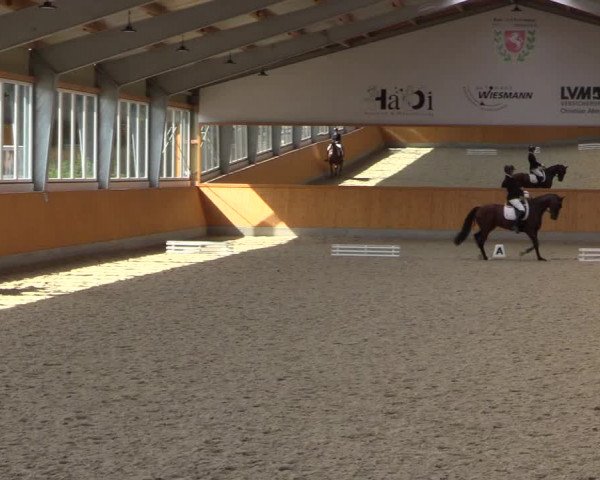 Reitturnier Münster-Amelsbüren 2023