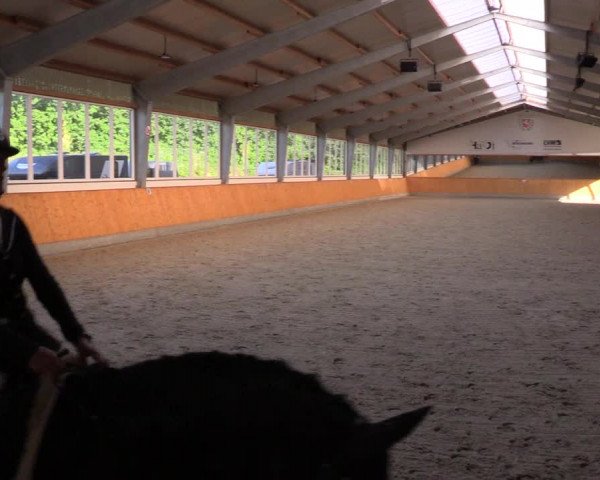Reitturnier Münster-Amelsbüren 2023